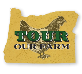 Tour Our Farm